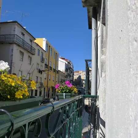 Discover Alfama Daire *